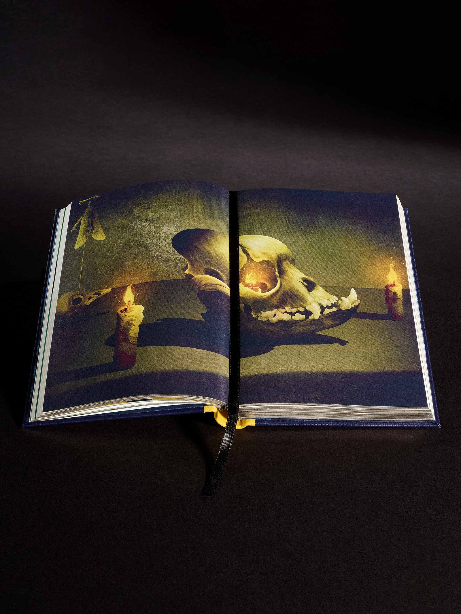 Folio Society The Wasp Factory limited edition - double-page color illustration with a skull and candles - fivestaredition.com